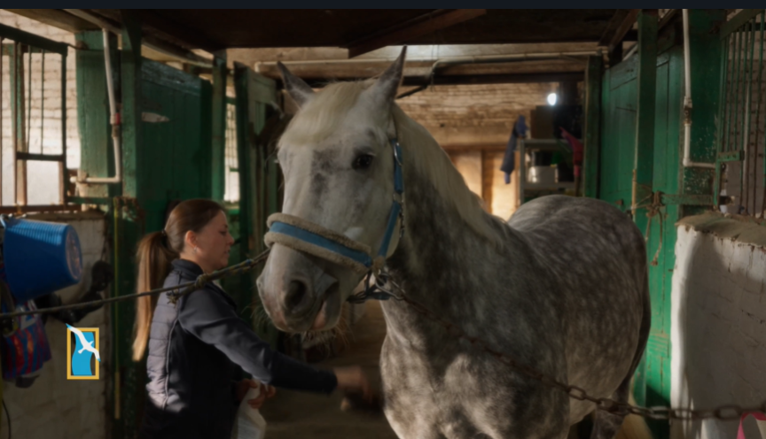 Новый выпуск киножурнала "Енисейский меридиан" уже доступен на наших ресурсах!